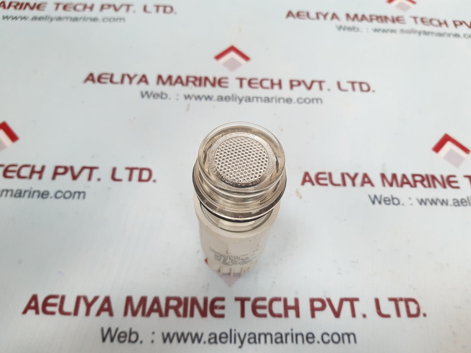 Stahl 8013/311 indicating lamp