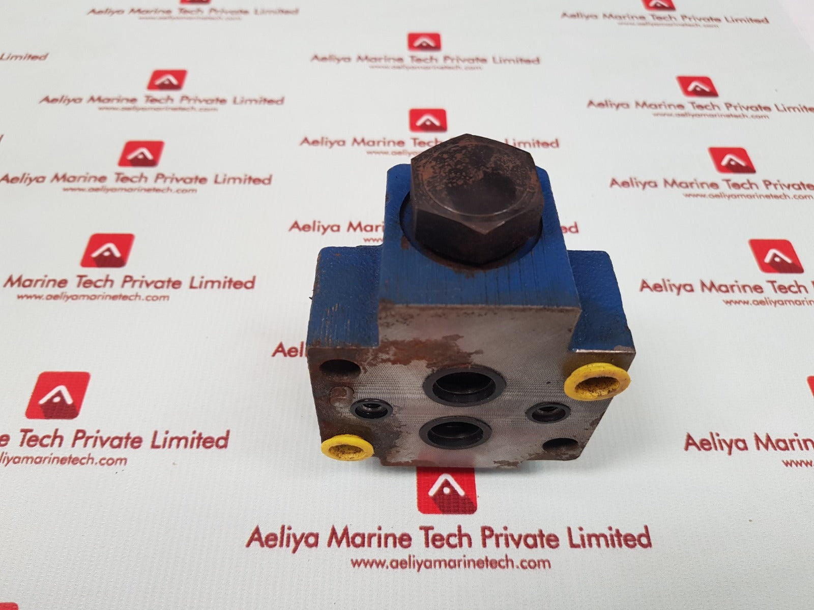 Rexroth r900443419 hydraulic check valve