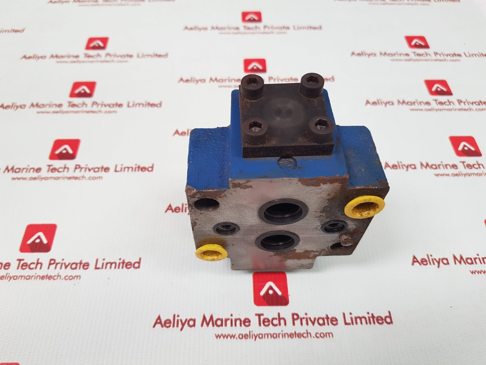 Rexroth r900443419 hydraulic check valve