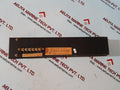 Terasaki watch free monitoring system G 