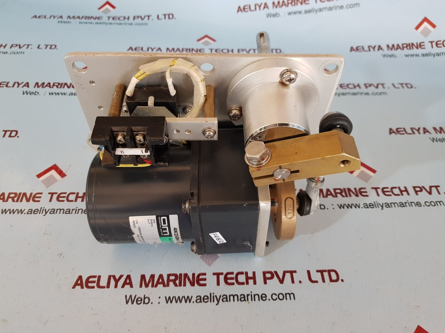 Oriental motor 4ik25gn-a induction motor with 4gn30k gear head