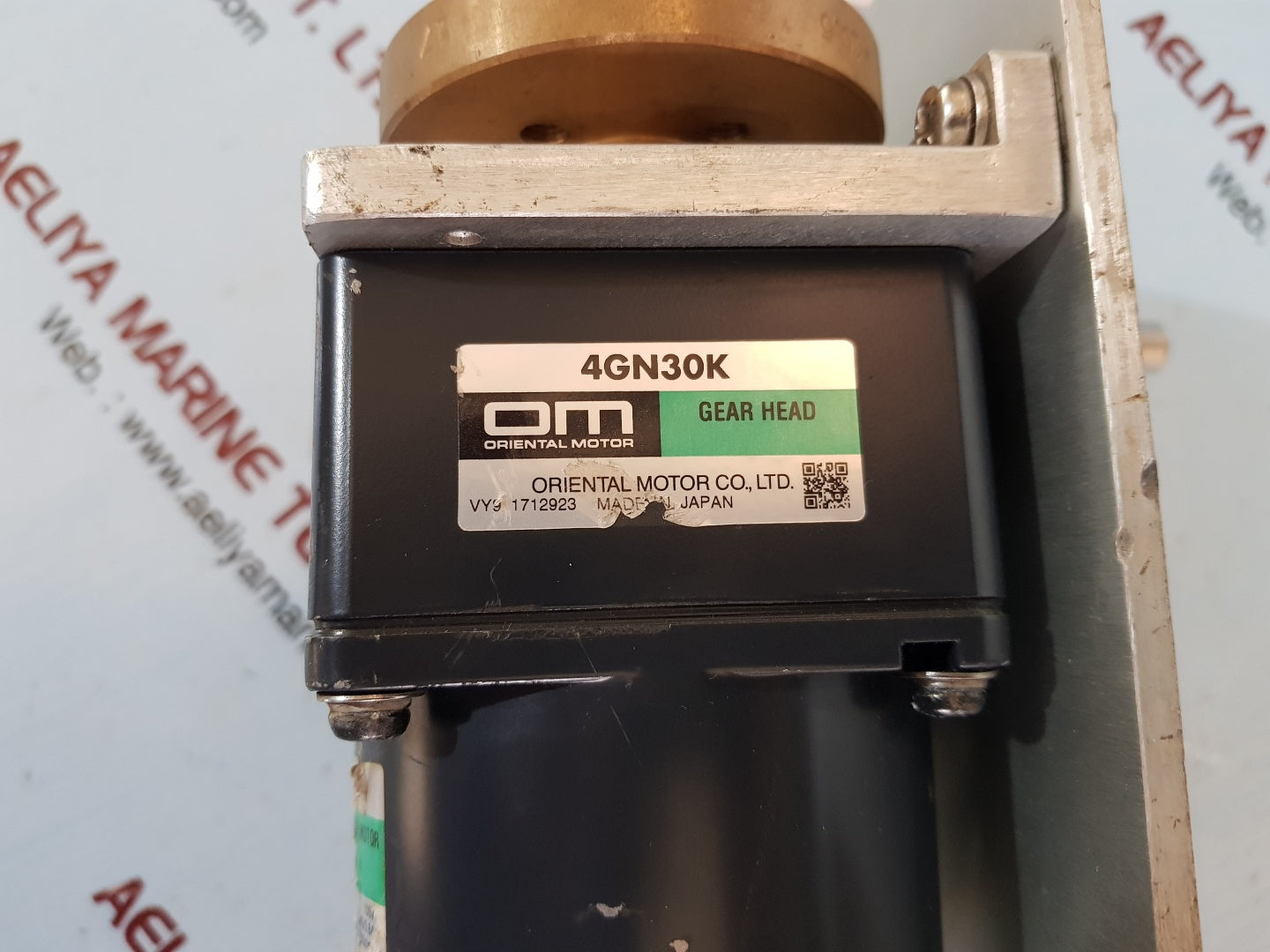 Oriental motor 4ik25gn-a induction motor with 4gn30k gear head