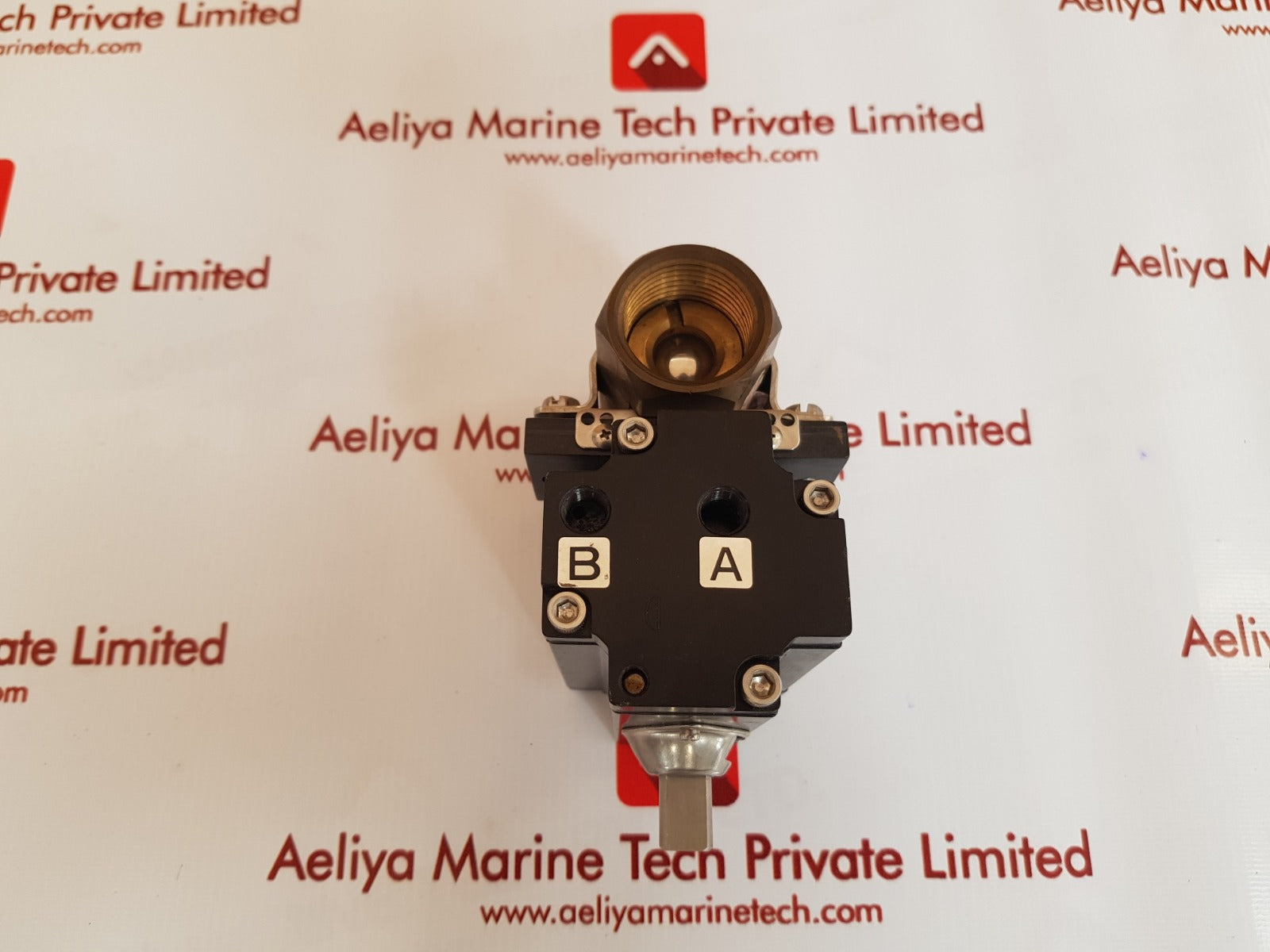 Gemini valve b412 pneumatic actuator