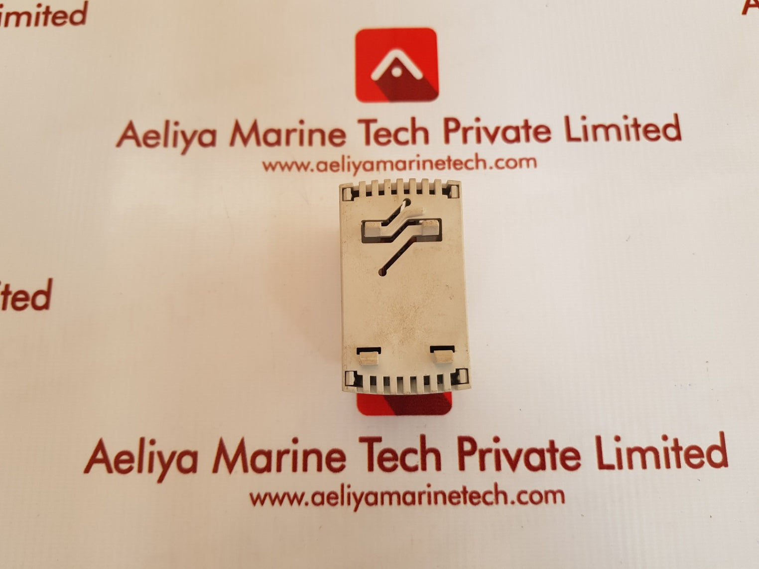 Rtbss-110.250/02 0-60°c temprature controller