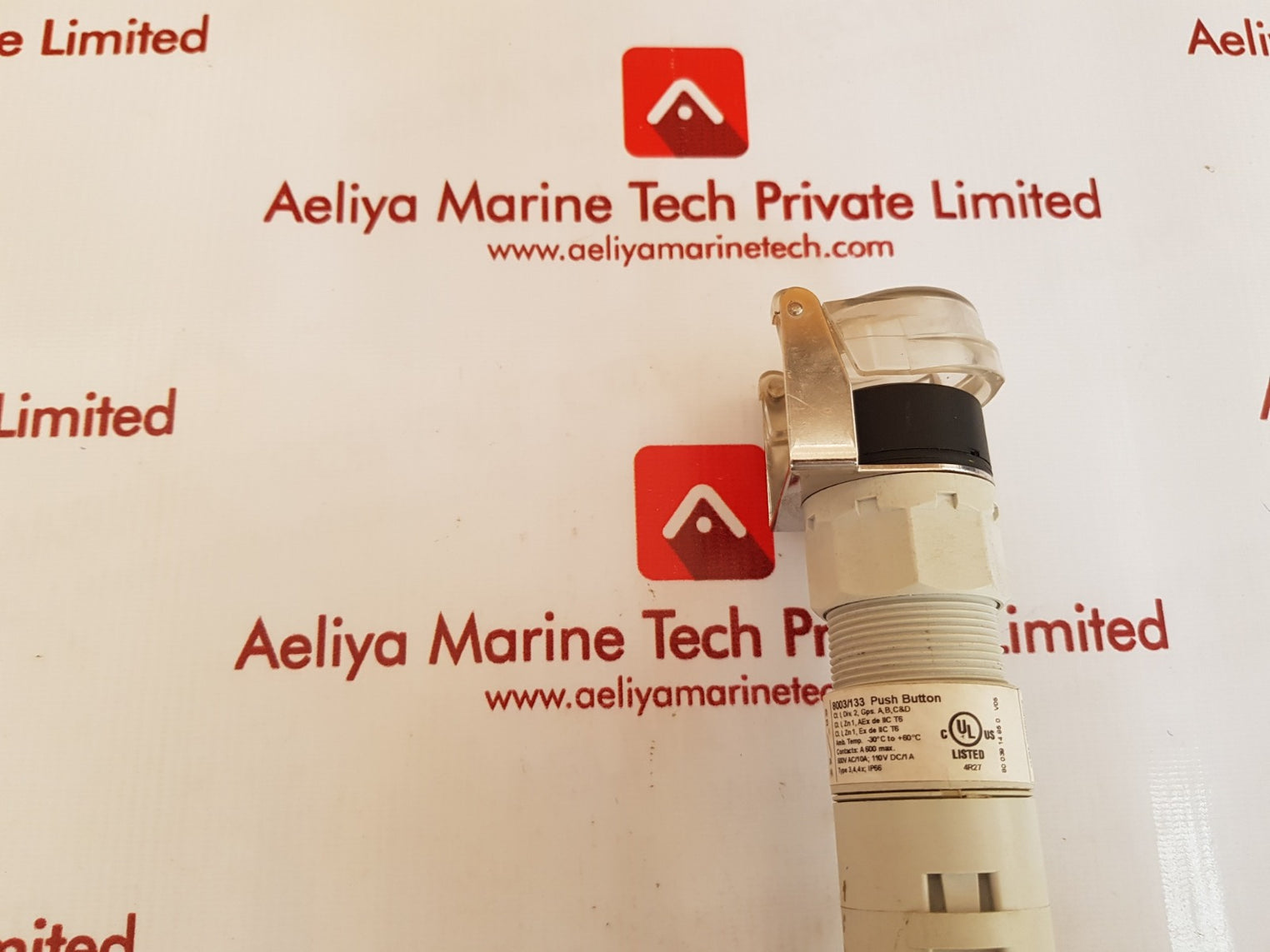 Stahl 8003/133 push button