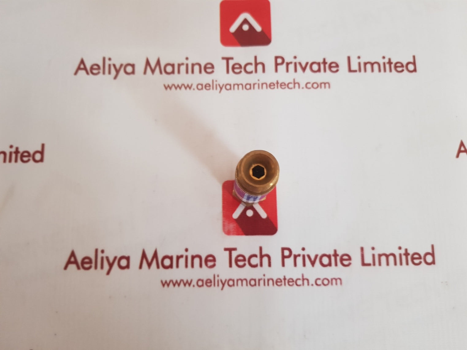 Wisdom 288 for regulator flash back arrestor