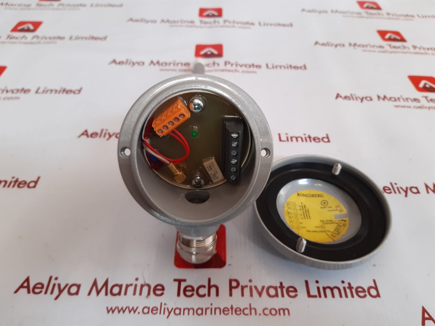 Kongsberg gl-3d/n-0-150 level switch