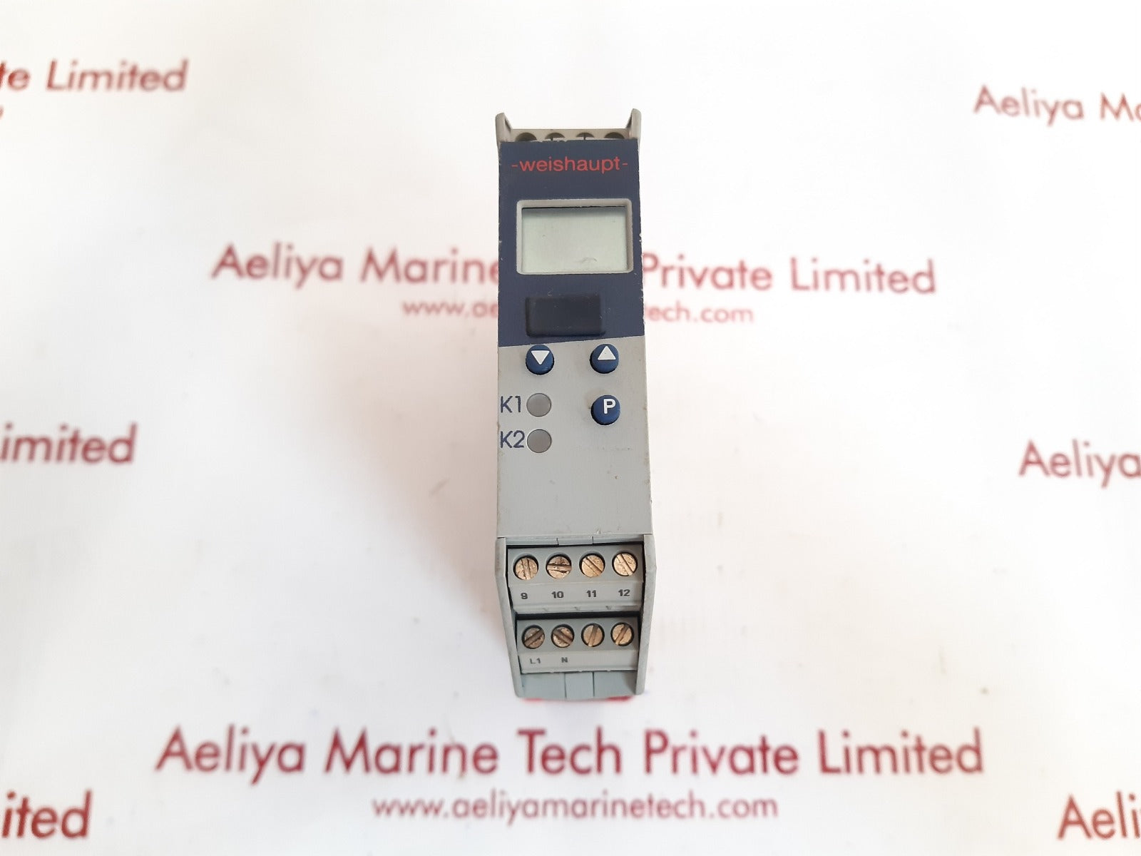 Weishaupt itron dr100 702060/299-999-000-23 programmable controller