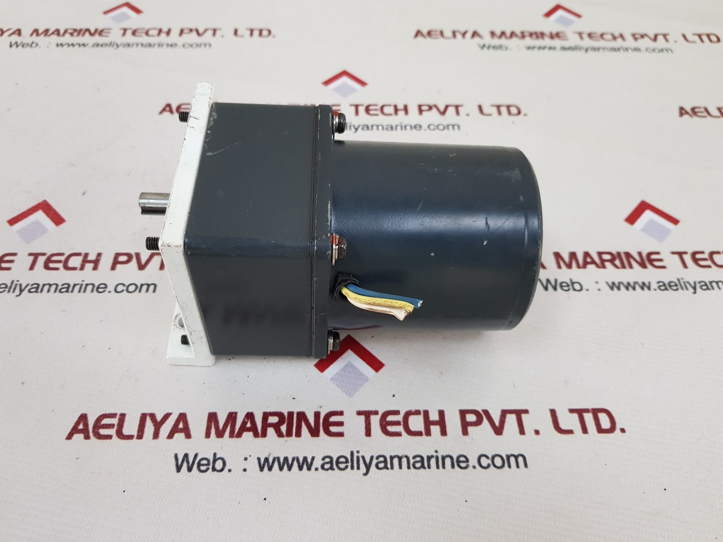 Oriental motor 4ik25gn-a induction motor with 4gn30k gear head
