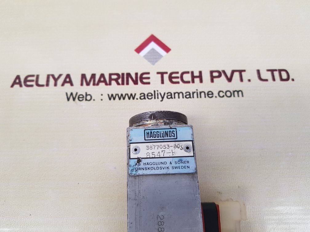 Hagglund & soner  3877053-803