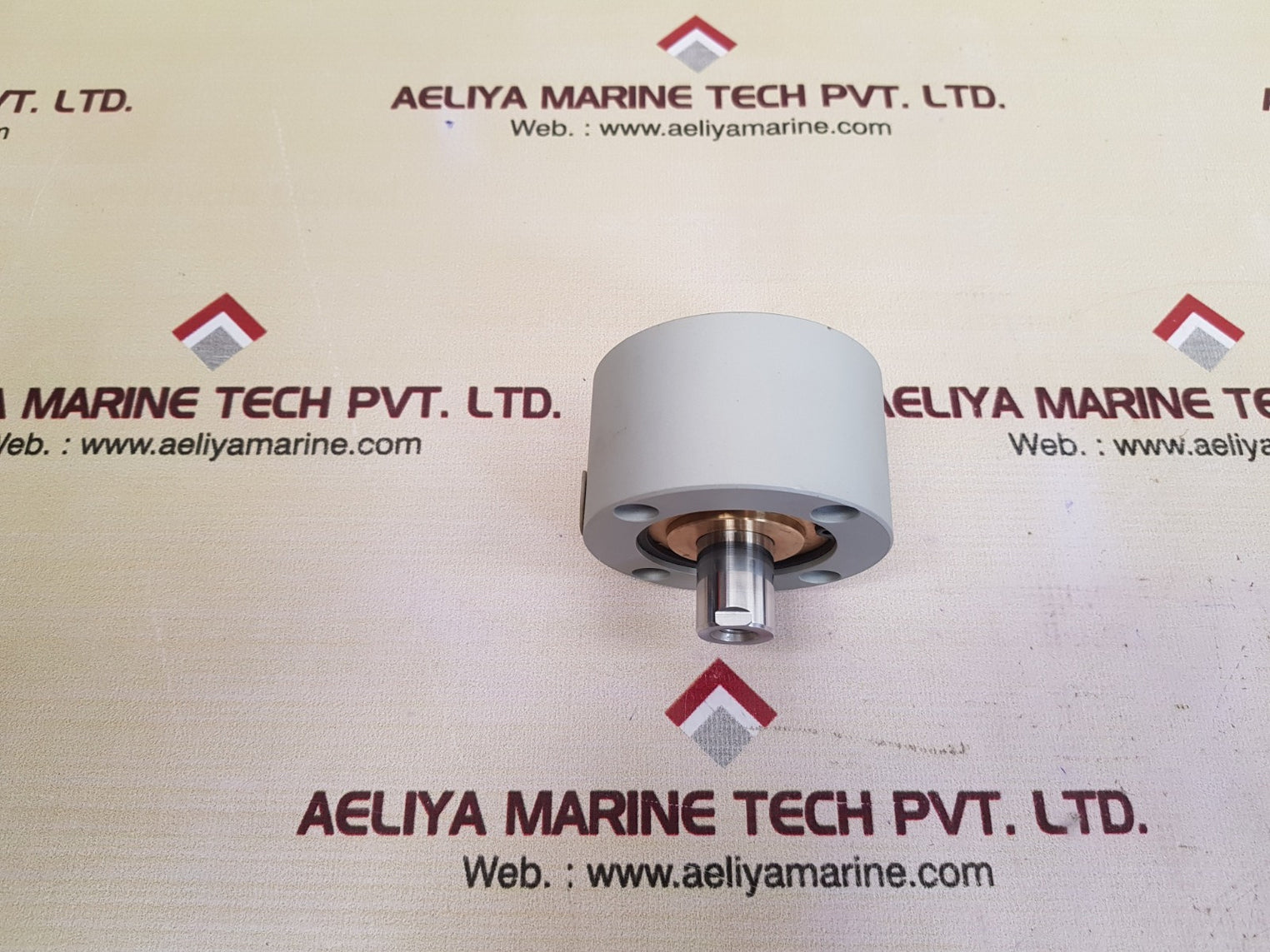 Nihon seiki bn-6091-50-r-20