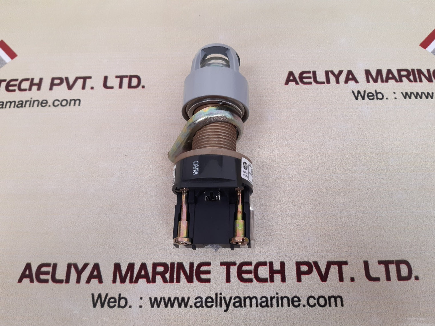 Allen bradley 800h-qp24 green pilot light