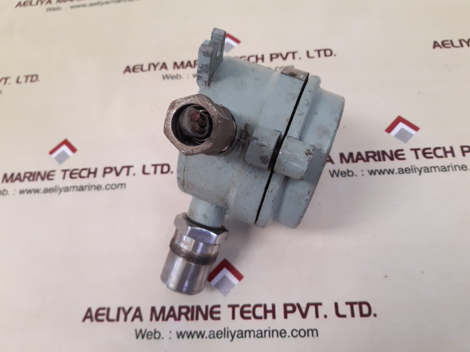 Tritech fl-xt combustible gas transmitter