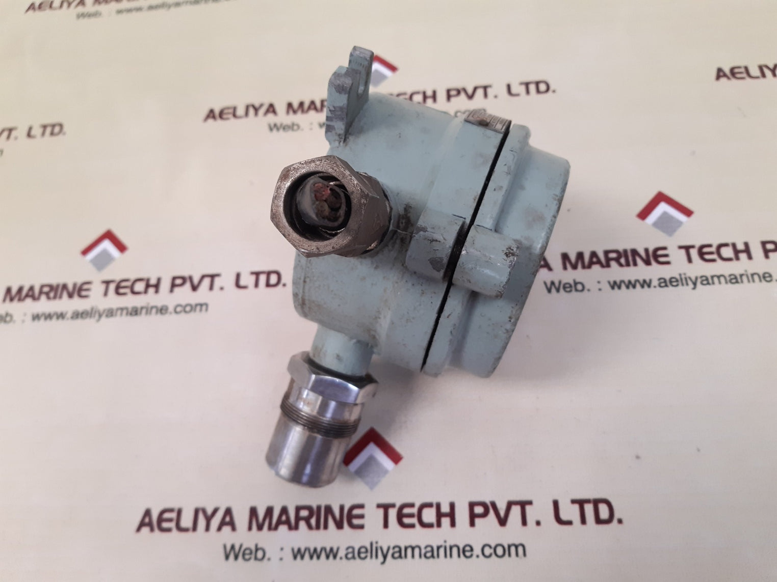Tritech fl-xt combustible gas transmitter