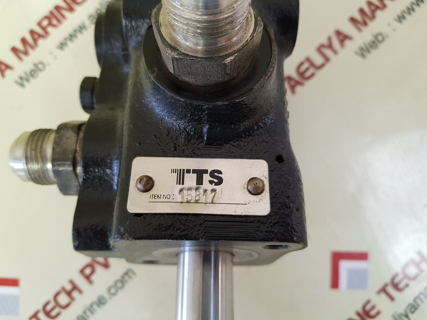 Tts 15817