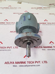 Bsm pump 13s17 rotary gear pump