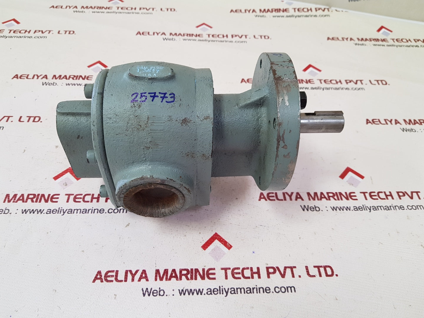 Bsm pump 13s17 rotary gear pump