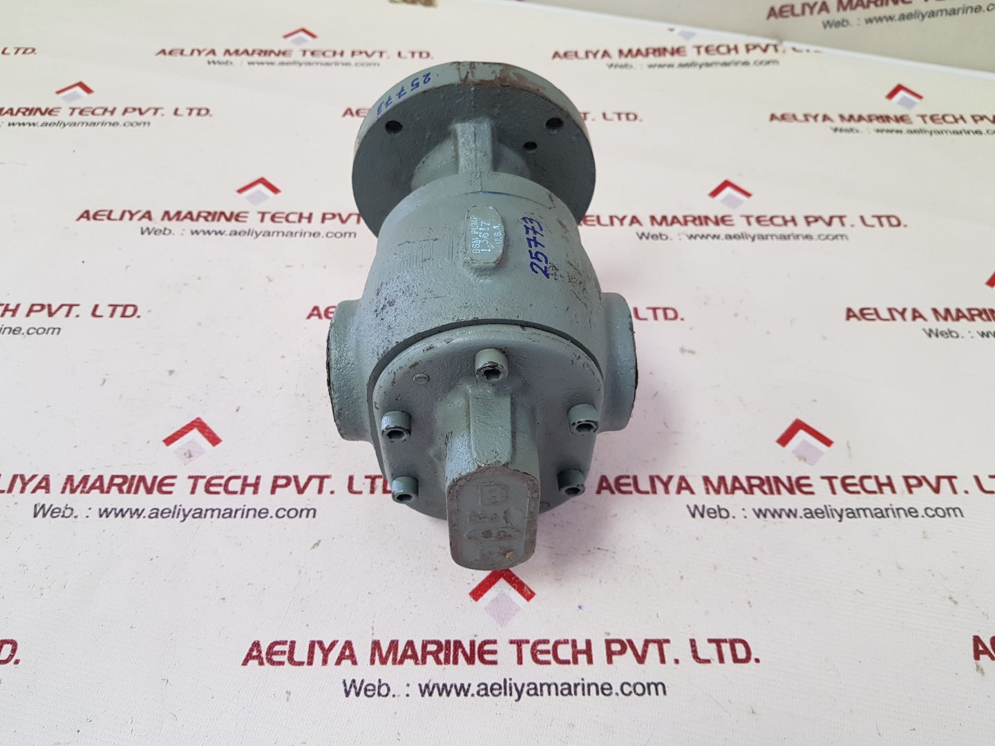 Bsm pump 13s17 rotary gear pump