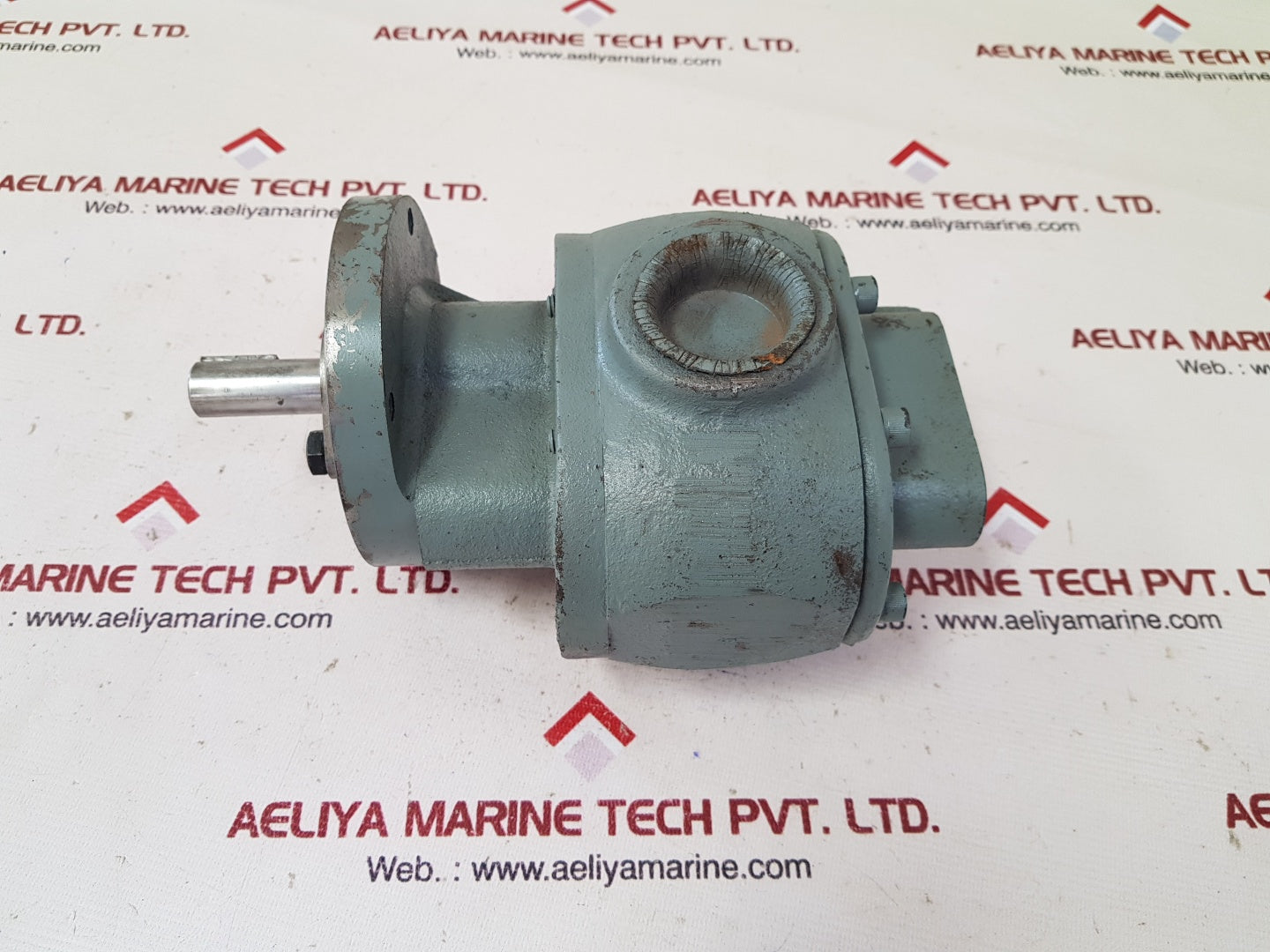 Bsm pump 13s17 rotary gear pump