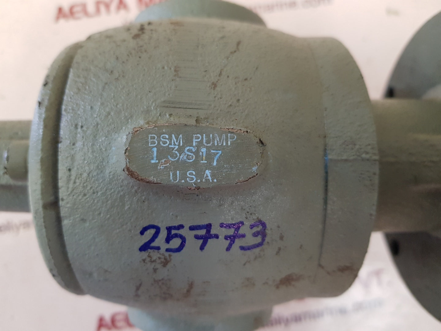 Bsm pump 13s17 rotary gear pump