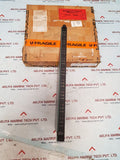 Triconex 3614 e module supervised do module