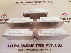 infineon bsm300ga170dn2s_e3256