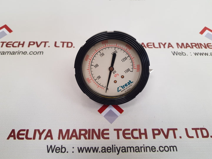 c’treat 02-1819-a panel gauge, 0-1500 psi