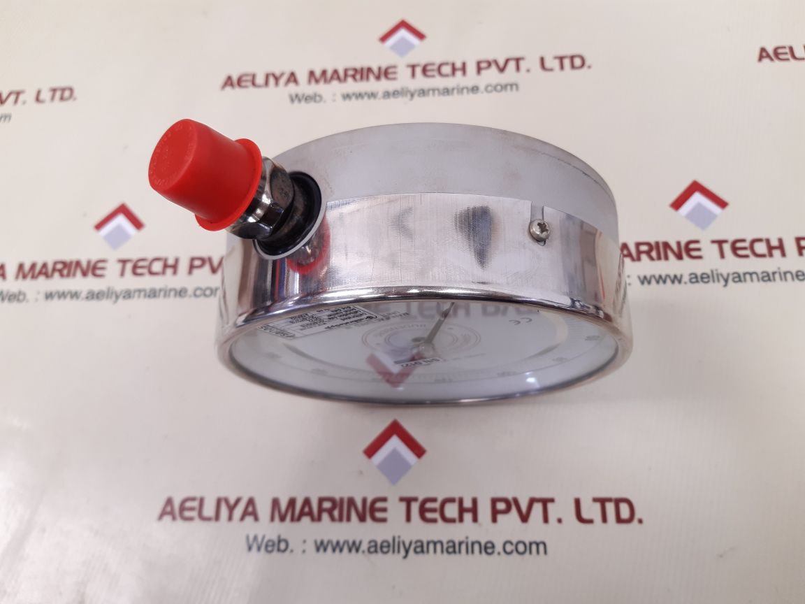 Budenberg 91679001 standard test gauge 0-200 bar