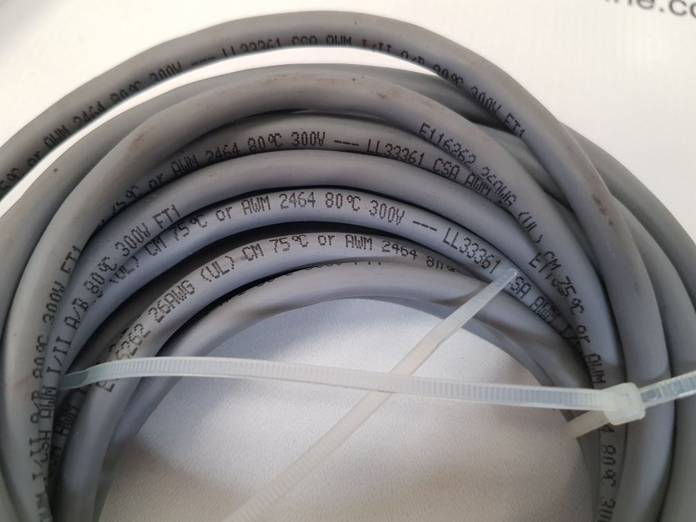 Ecolab snsr s2000 temperature switch with w/24 ft cable