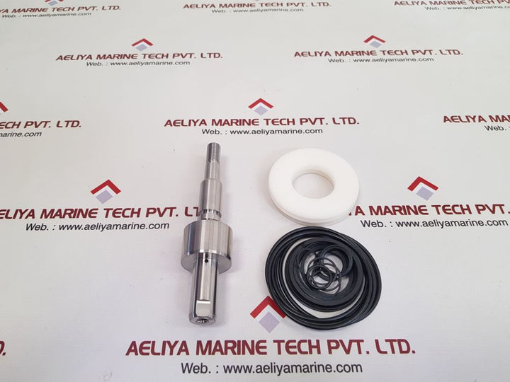 Axon 1723-0299 repair kit 