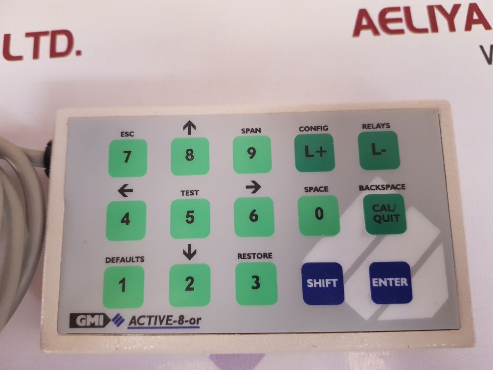 Gmi active-8-or gas detector system receiver wired remote