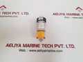 Bd sensors dmp 331 pressure transmitter 14-36 vdc
