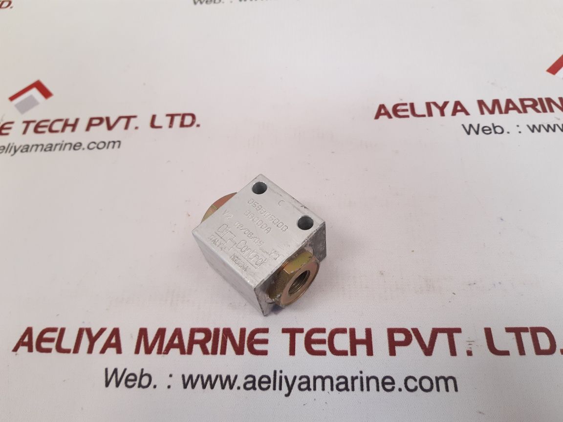 Oil control 059905000 pneumatic and control valve