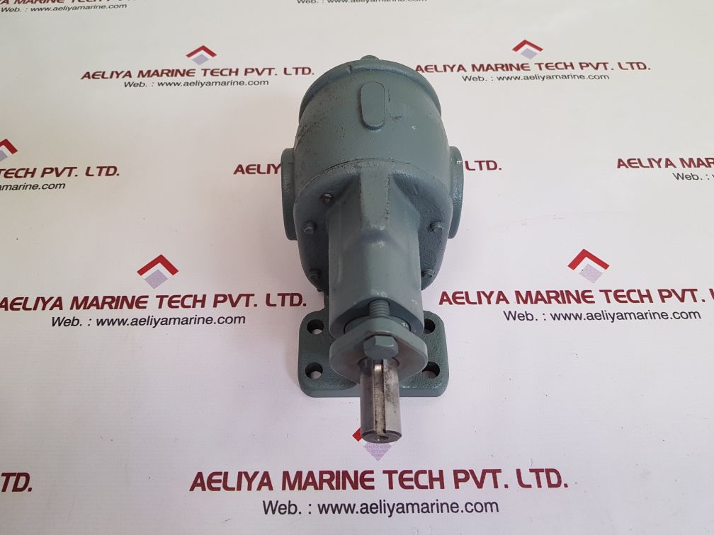 Bsm rotary gear pump