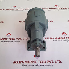 Bsm rotary gear pump