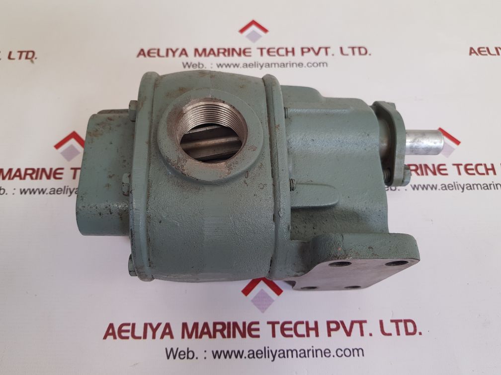 Bsm rotary gear pump
