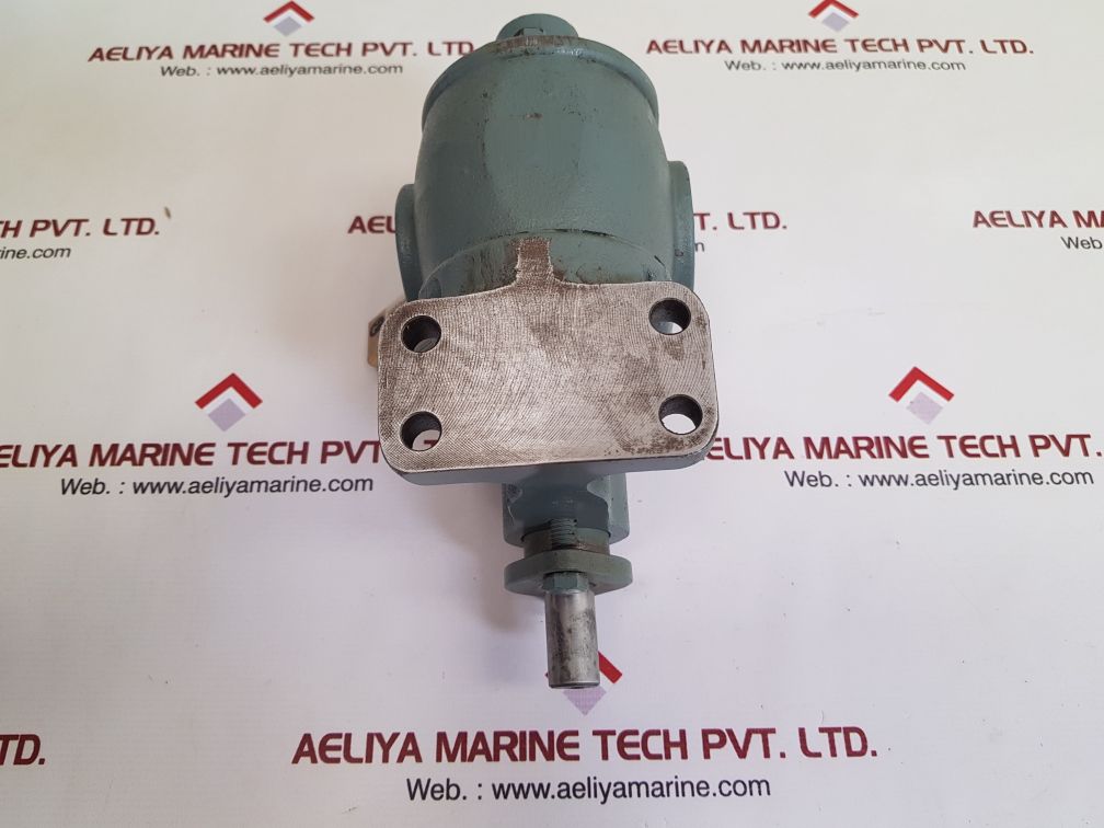 Bsm rotary gear pump