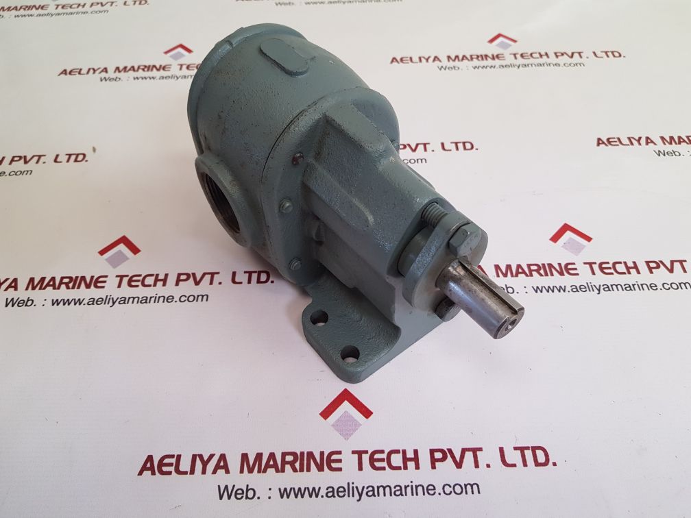 Bsm rotary gear pump