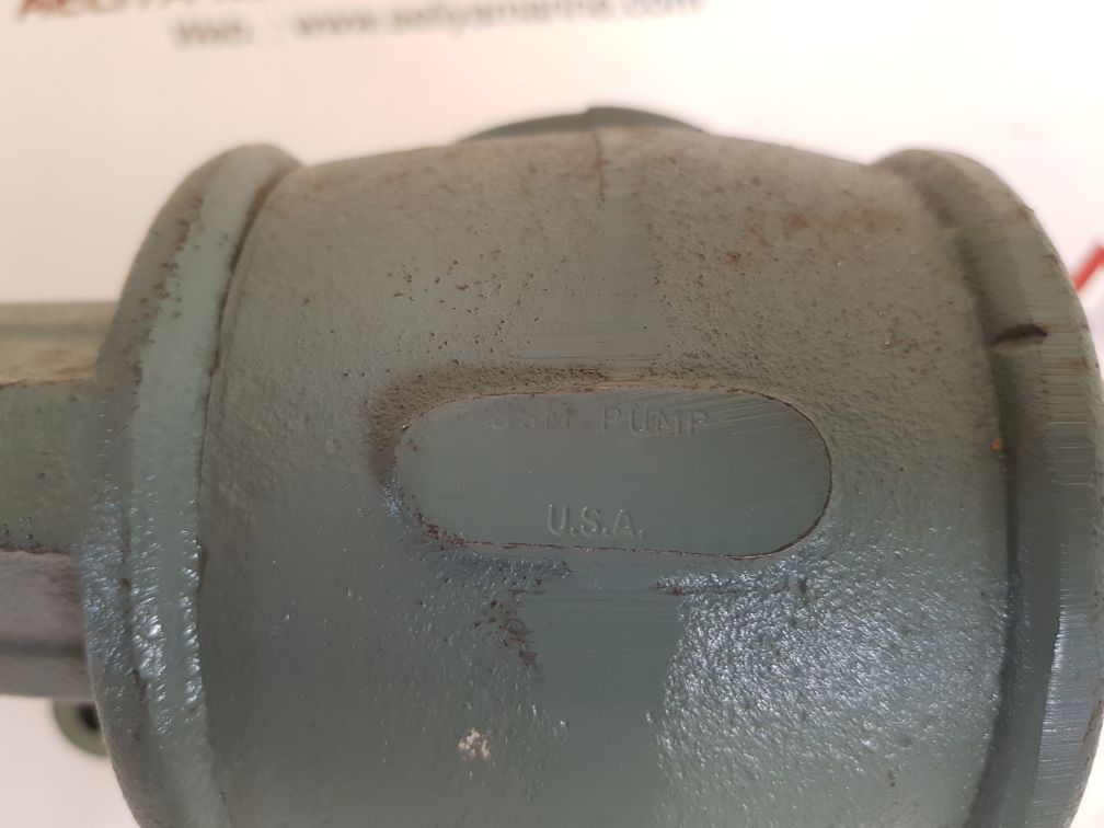 Bsm rotary gear pump