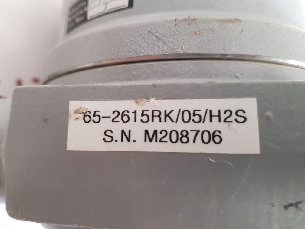 Rki instruments m2 transmitter gas monitor