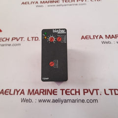Bircher tzmp24-48acdc time delay relay