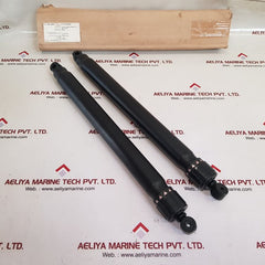 Naui 10580 Treadclimber Pair Piston For Tc 6000

