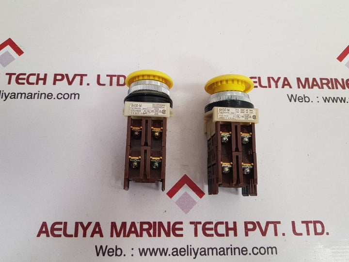 Fuji electric ah30-m command switch