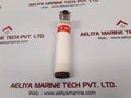 Forney idd-ii flame detector 3832101