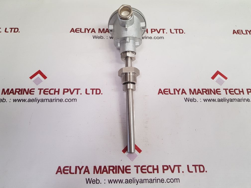 Thermo-electra 1 X Pt100-3W Cl.B Sensor P1138312009
