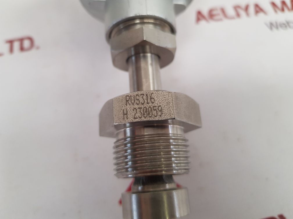 Thermo-electra 1 X Pt100-3W Cl.B Sensor P1138312009
