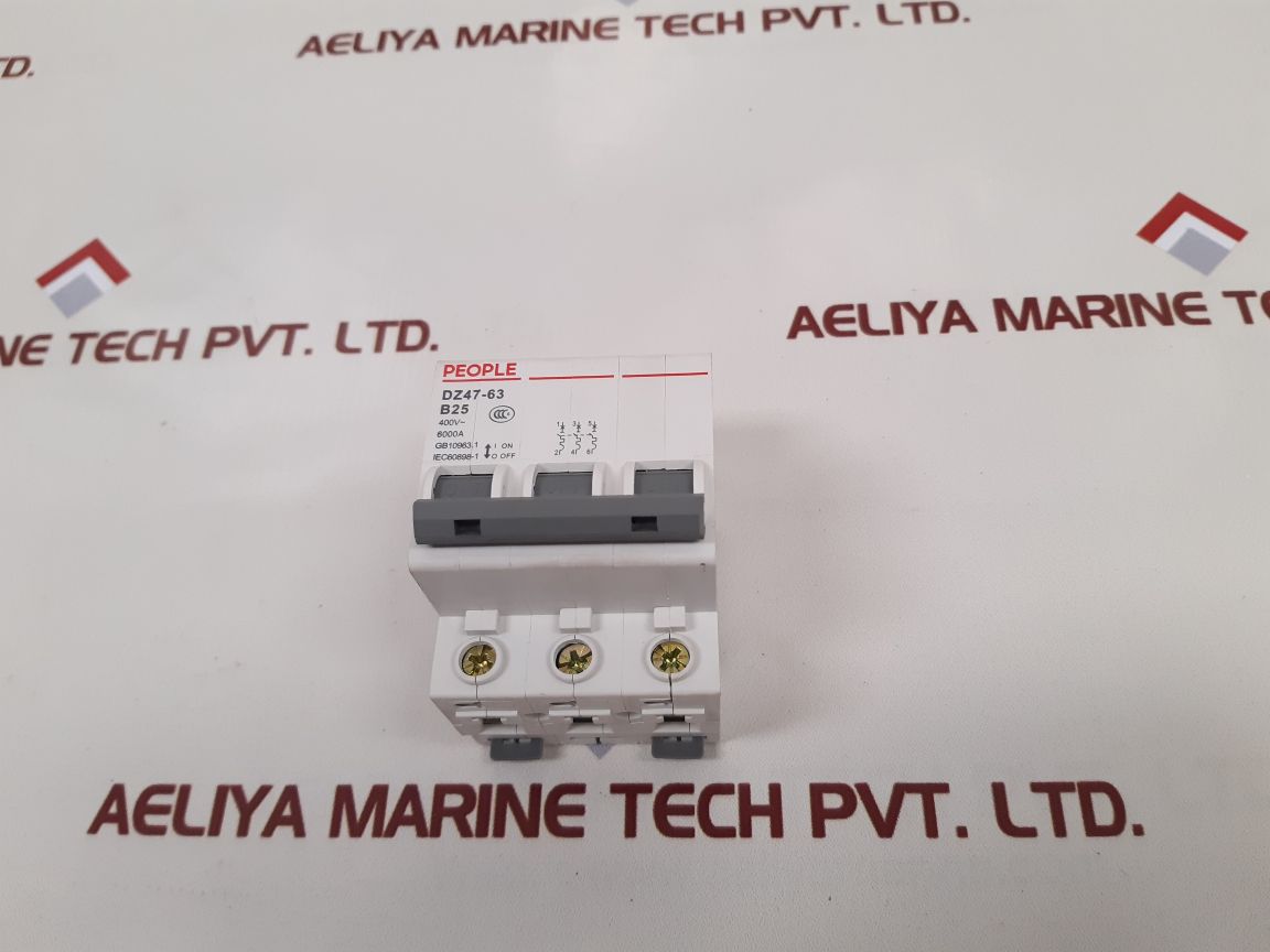 People Dz47-63 Circuit Breaker 6000A

