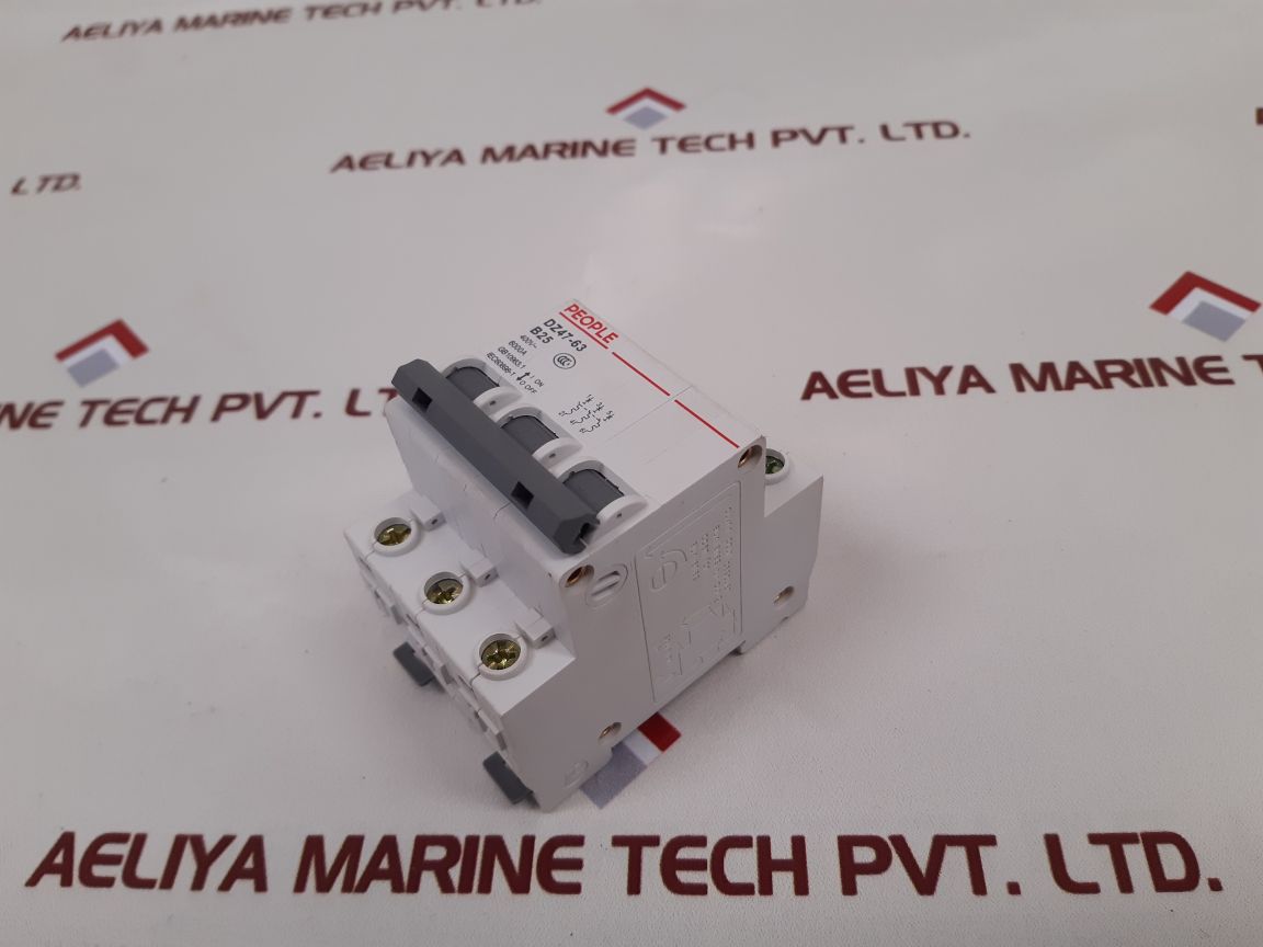 People Dz47-63 Circuit Breaker 6000A
