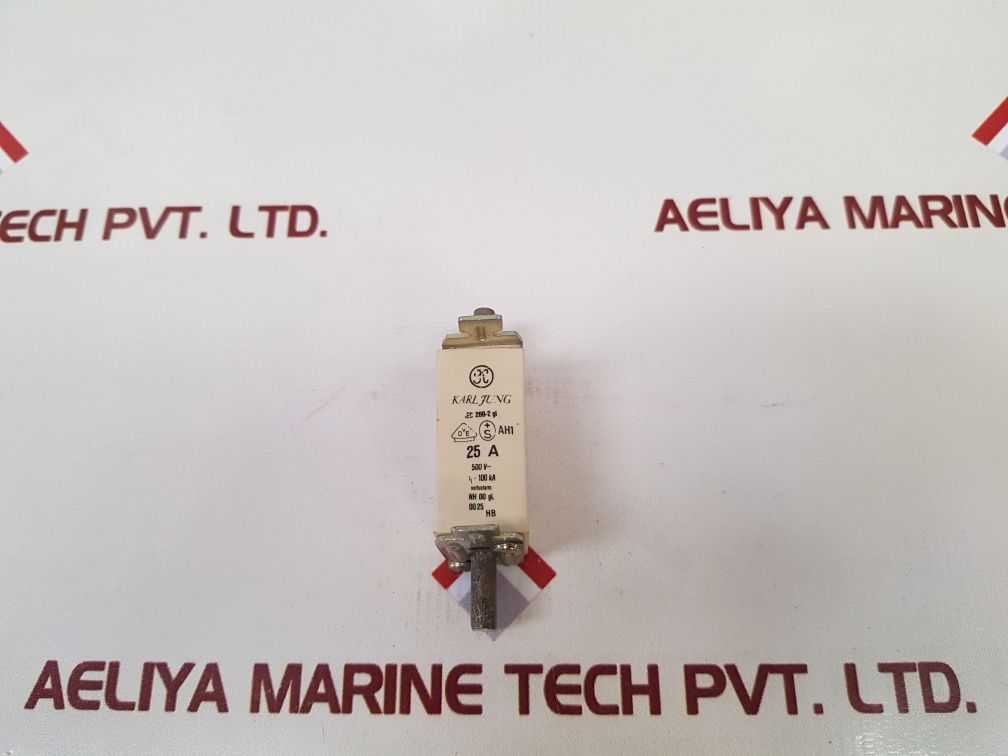 Karl Fung Iec 269-2 Gl Fuse 25A
