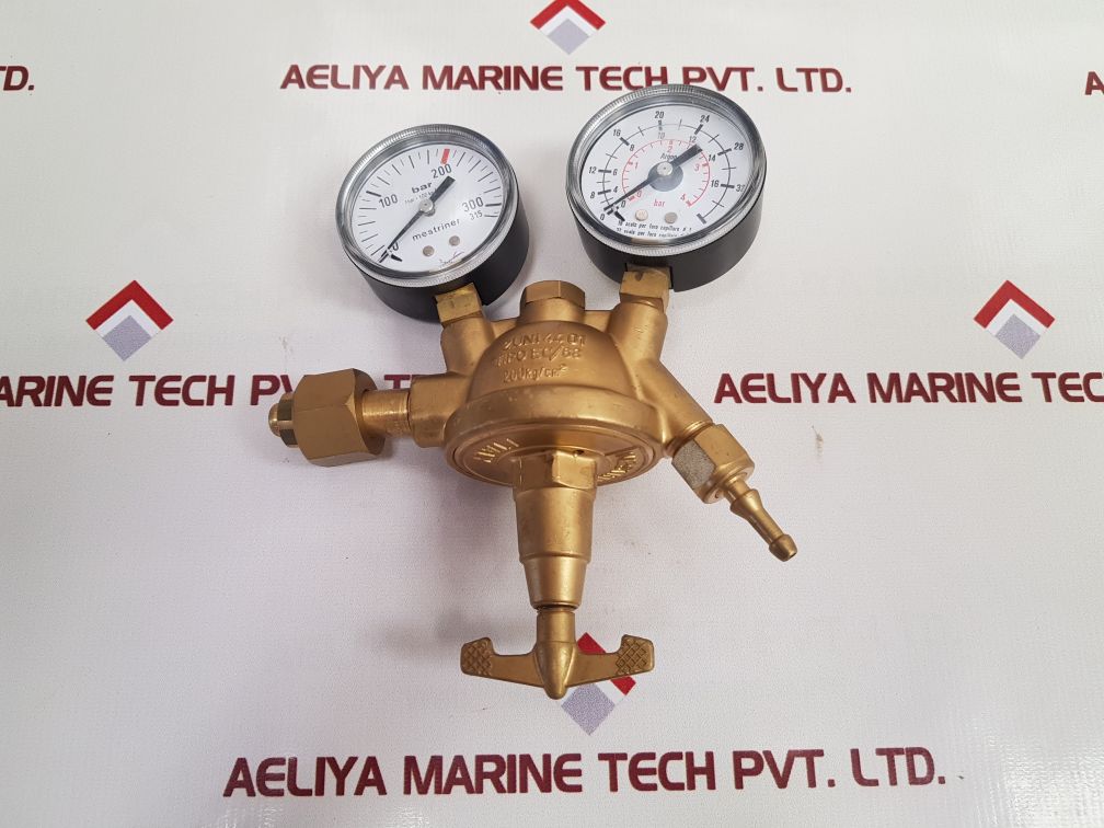 Mestriner 2Uni4401 twin gauge pressure regulator